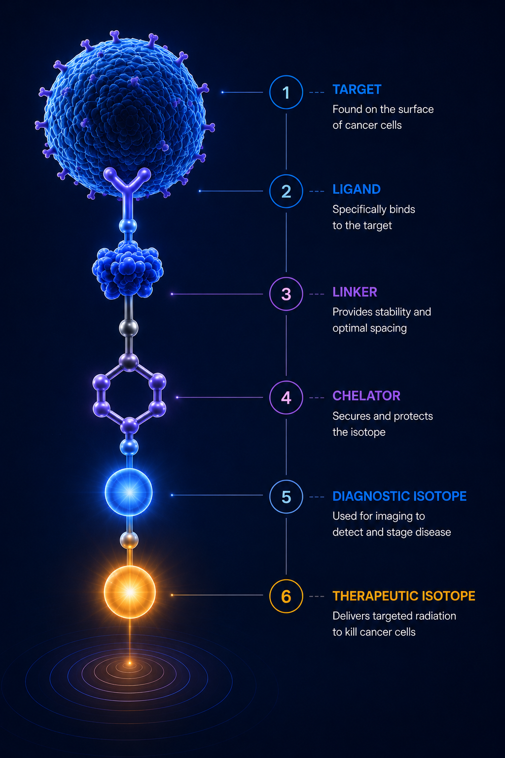 A theranostic drug from top to bottom: the target on a cancer cell, the ligand bound to it, the linker, the chelator, and the diagnostic and therapeutic isotopes.